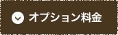 オプション料金